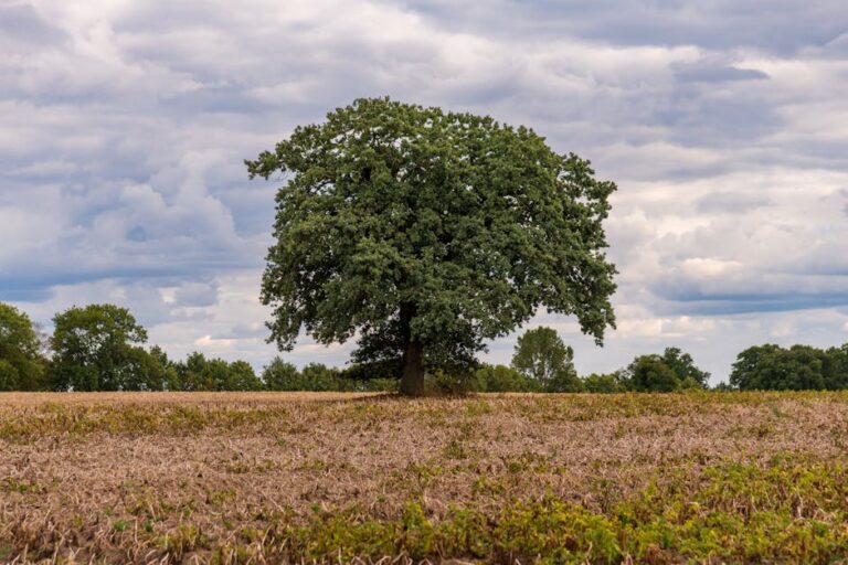35+ Inspiring Lessons from Abraham’s Life That Resonate Today