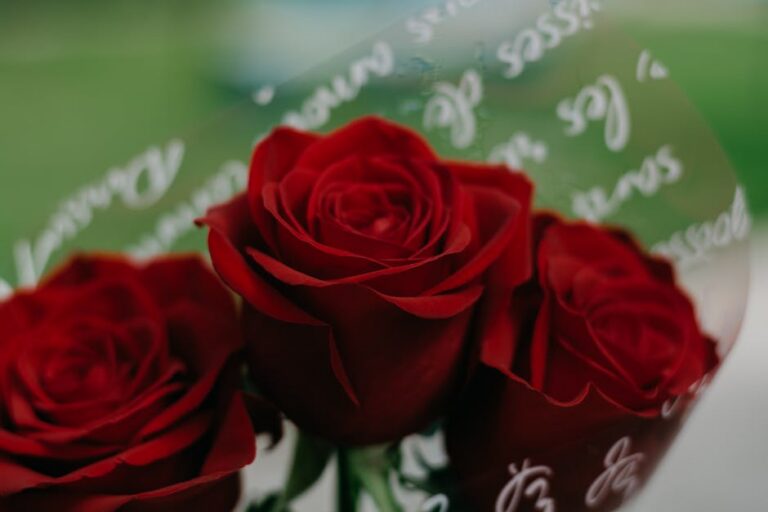 34+ Heartfelt Wedding Wishes for Your Beloved Teachers